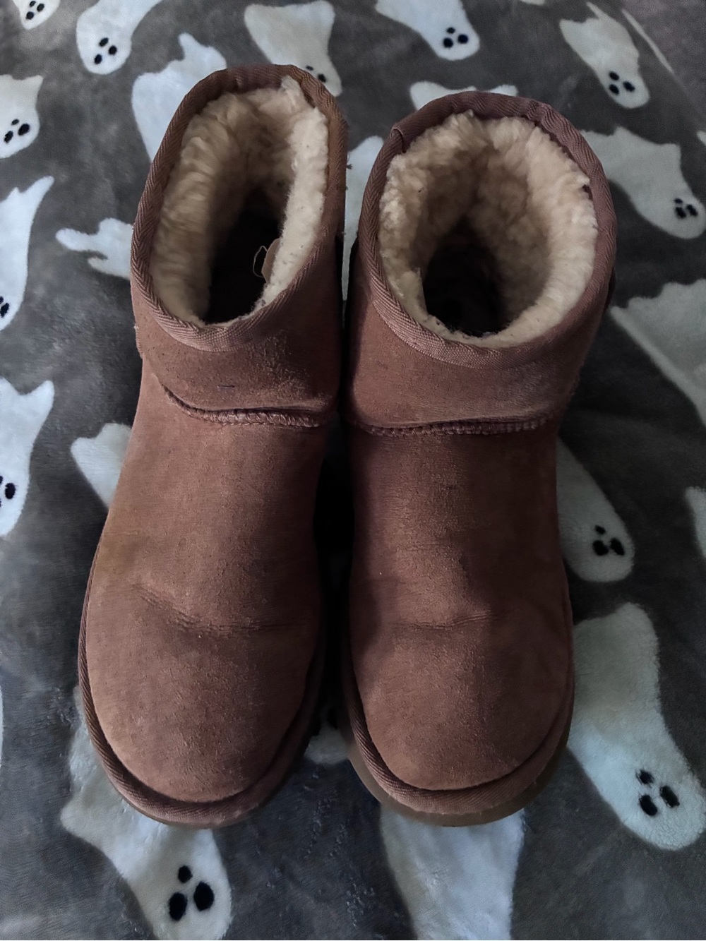 UGG Classic Mini Chesnut size 7 - Picture 2 of 7